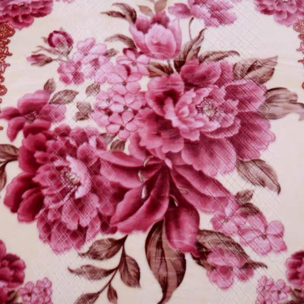 Red Barrel Studio® Drumaroan Heavy Korean Mink Blanket & Reviews Wayfair